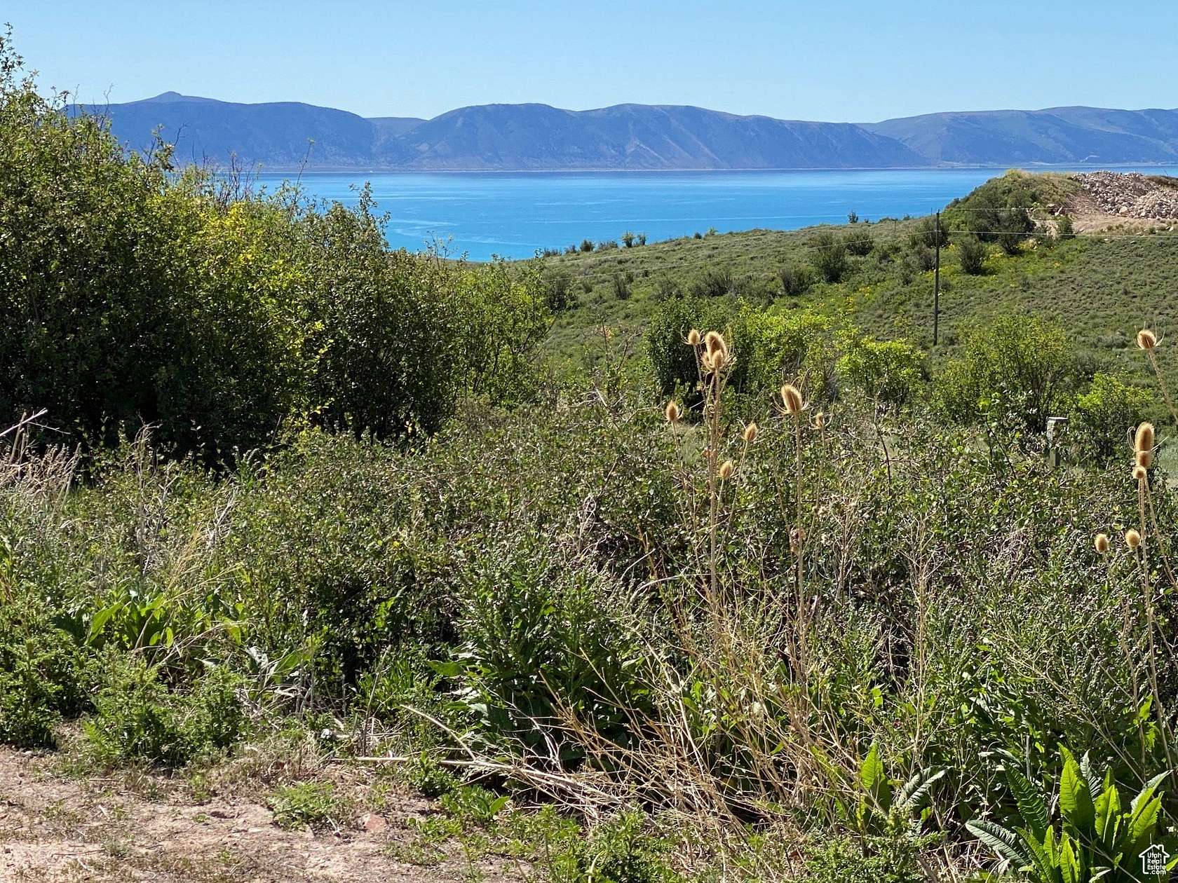 0.1 Acres of Residential Land for Sale in Fish Haven, Idaho