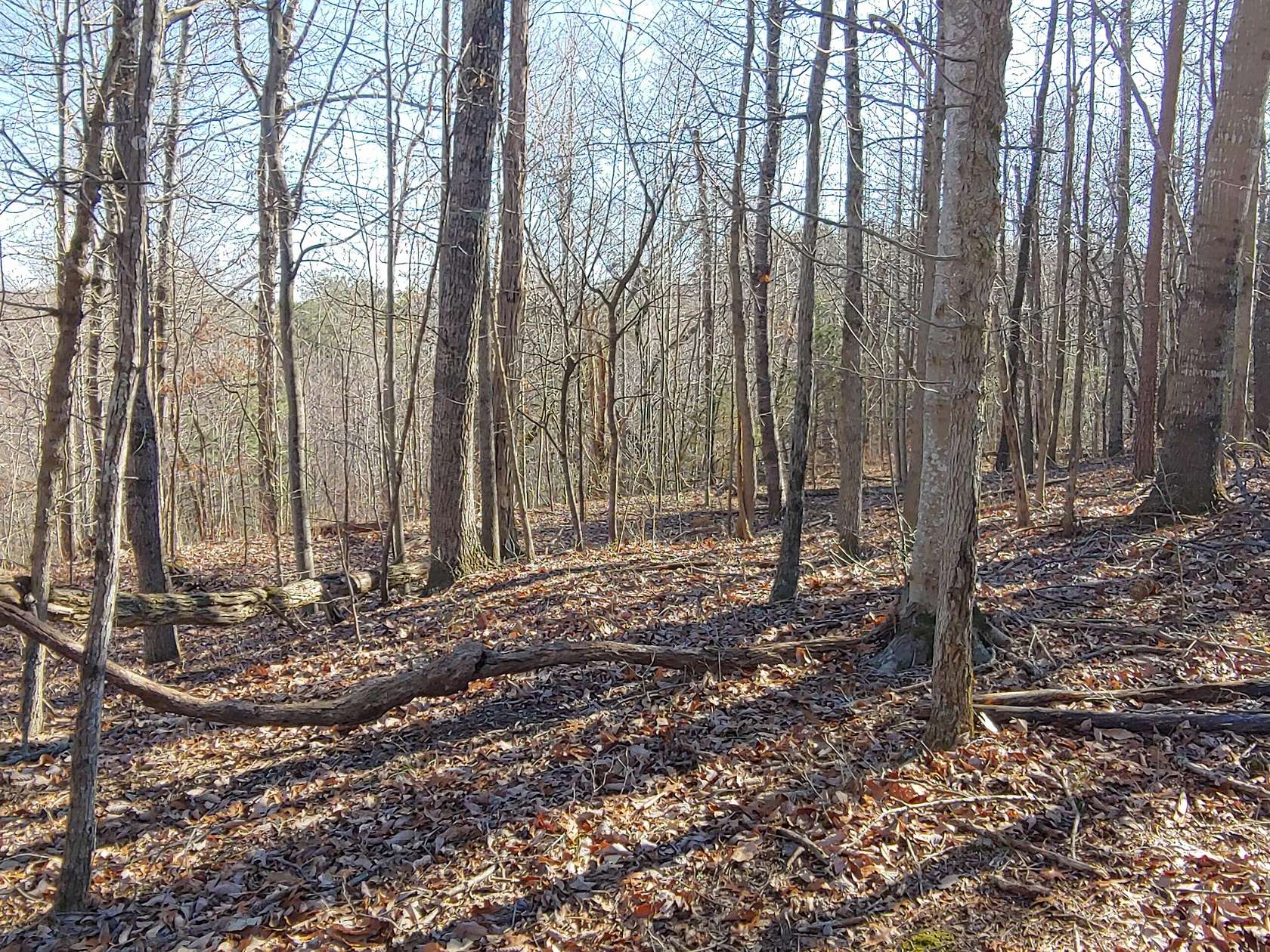 2.7 Acres of Land for Sale in Hardy, Virginia