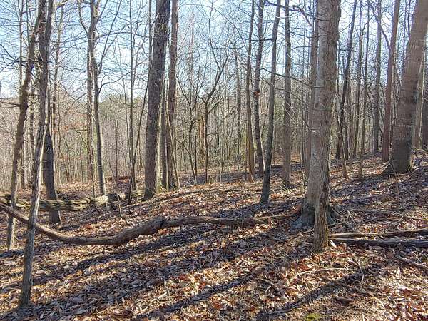2.7 Acres of Land for Sale in Hardy, Virginia