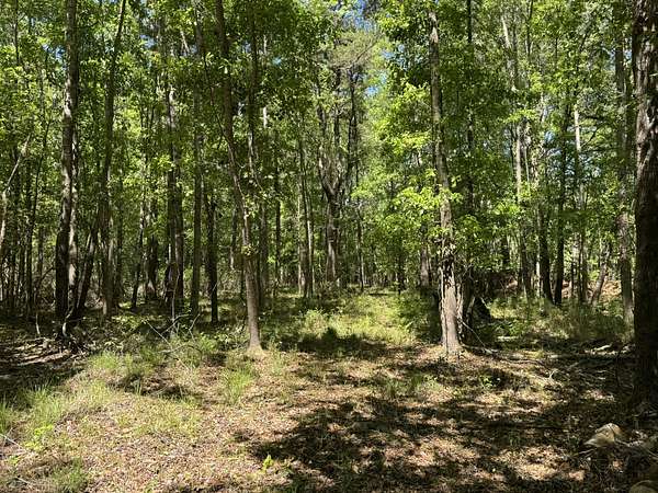 20 Acres of Recreational Land for Sale in Walterboro, South Carolina
