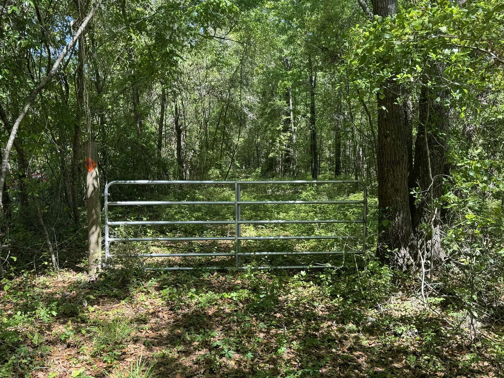 17 Acres of Recreational Land for Sale in Walterboro, South Carolina