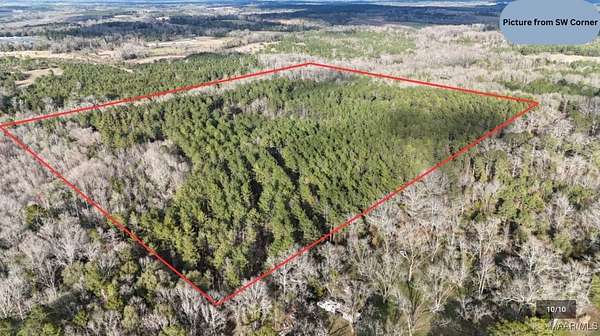 44 Acres of Recreational Land for Sale in Blue Springs, Alabama