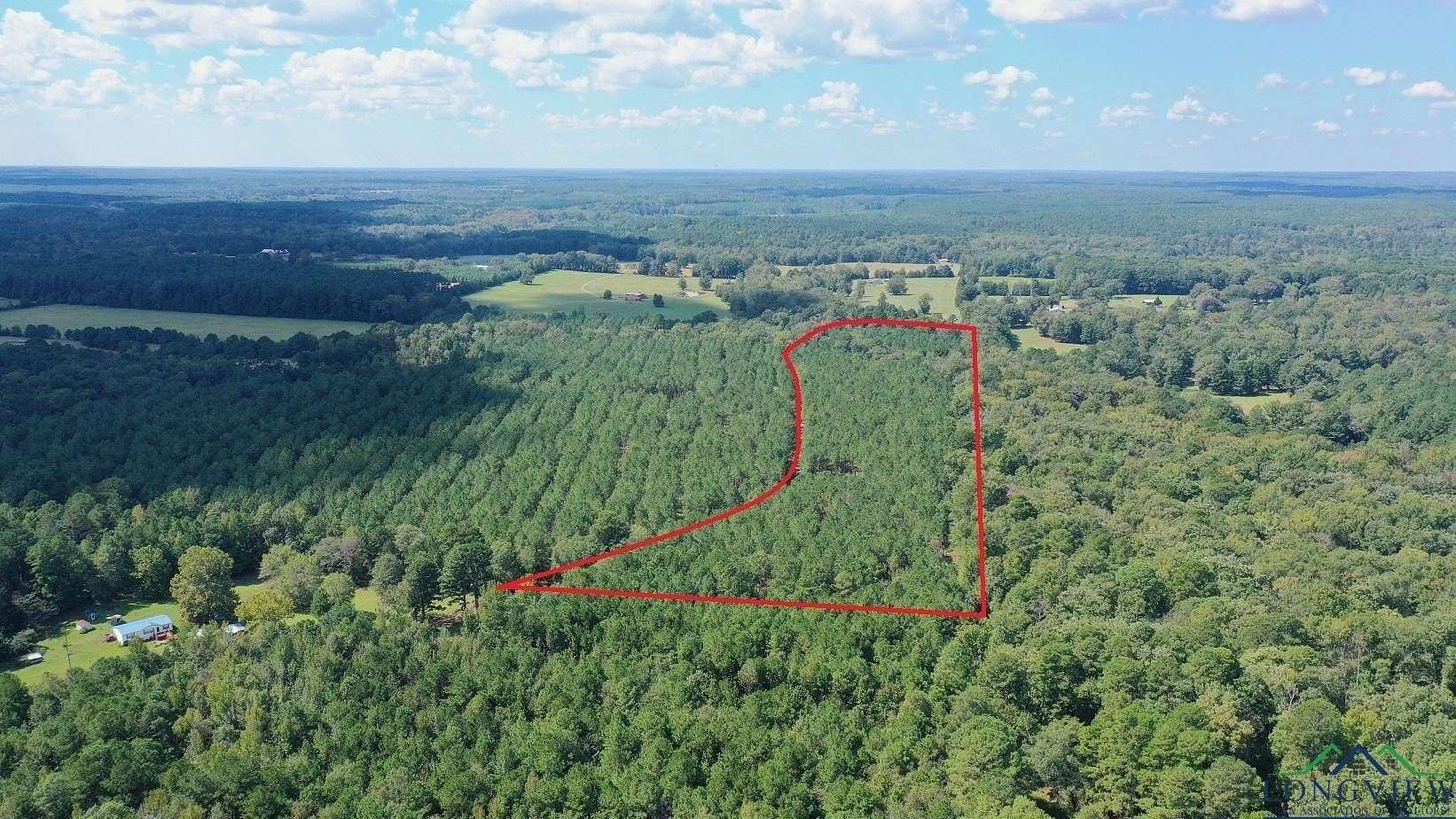 13.6 Acres of Land for Sale in Linden, Texas