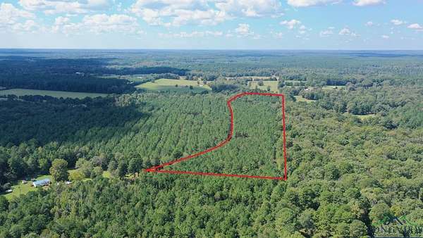 13.6 Acres of Land for Sale in Linden, Texas