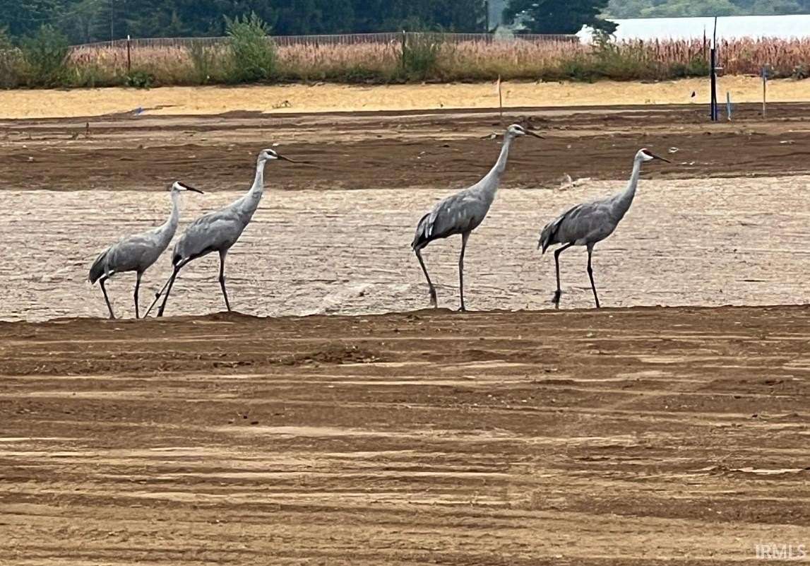 0.85 Acres of Residential Land for Sale in Leo, Indiana