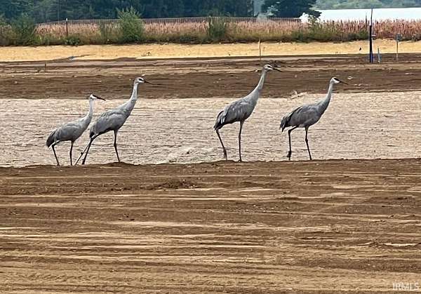 0.85 Acres of Residential Land for Sale in Leo, Indiana