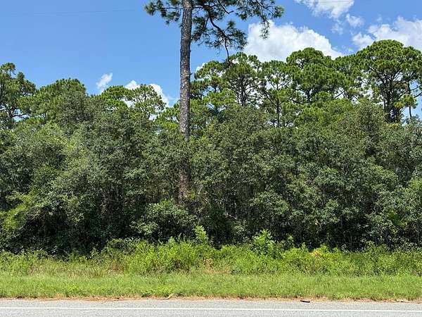 1 Acre of Residential Land for Sale in Carrabelle, Florida