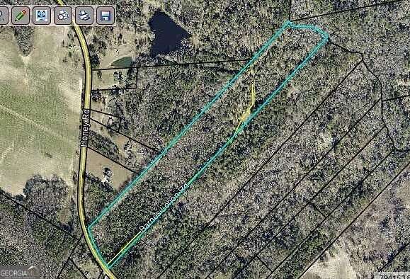 25.2 Acres of Agricultural Land for Sale in Sylvania, Georgia