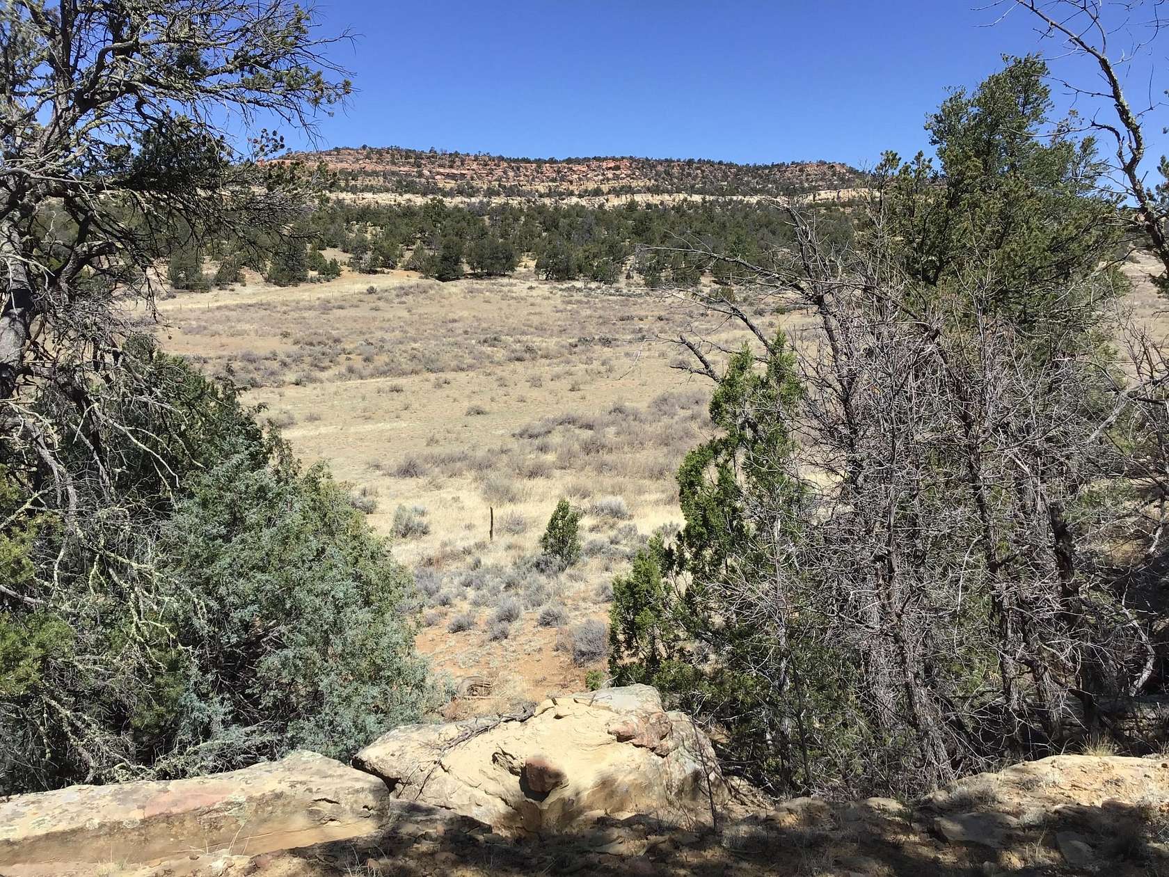 112 Acres of Recreational Land for Sale in Ramah, New Mexico