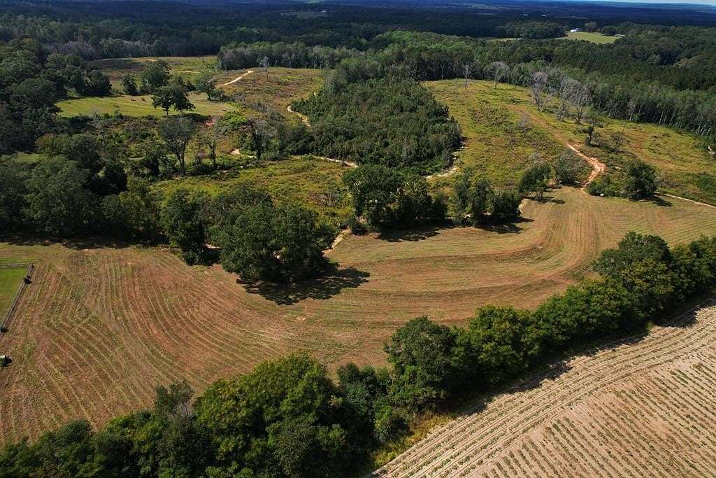 119 Acres of Recreational & Residential Land for Sale in Brundidge, Alabama