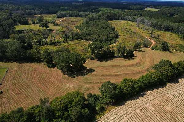 119 Acres of Recreational & Residential Land for Sale in Brundidge, Alabama