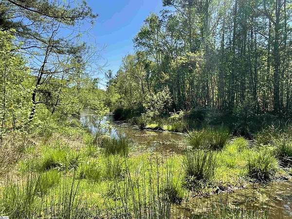 36.4 Acres of Land for Sale in Abbeville, South Carolina