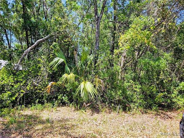 0.22 Acres of Residential Land for Sale in Inverness, Florida