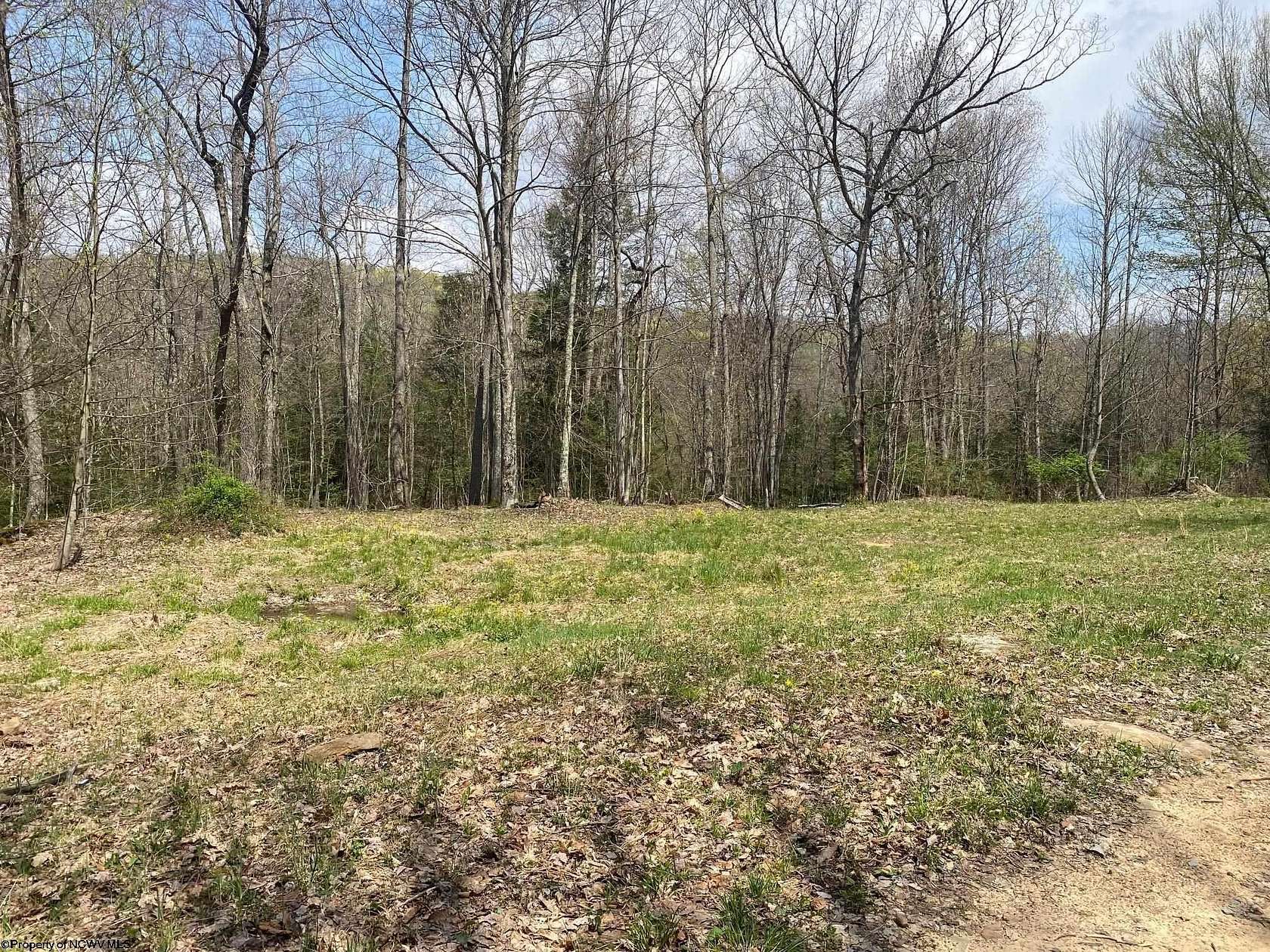 Land for Sale in Mill Creek, West Virginia