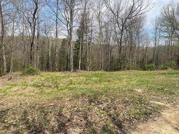 Land for Sale in Mill Creek, West Virginia