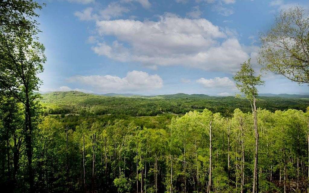 1.36 Acres of Residential Land for Sale in Morganton, Georgia