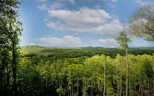 1.36 Acres of Residential Land for Sale in Morganton, Georgia
