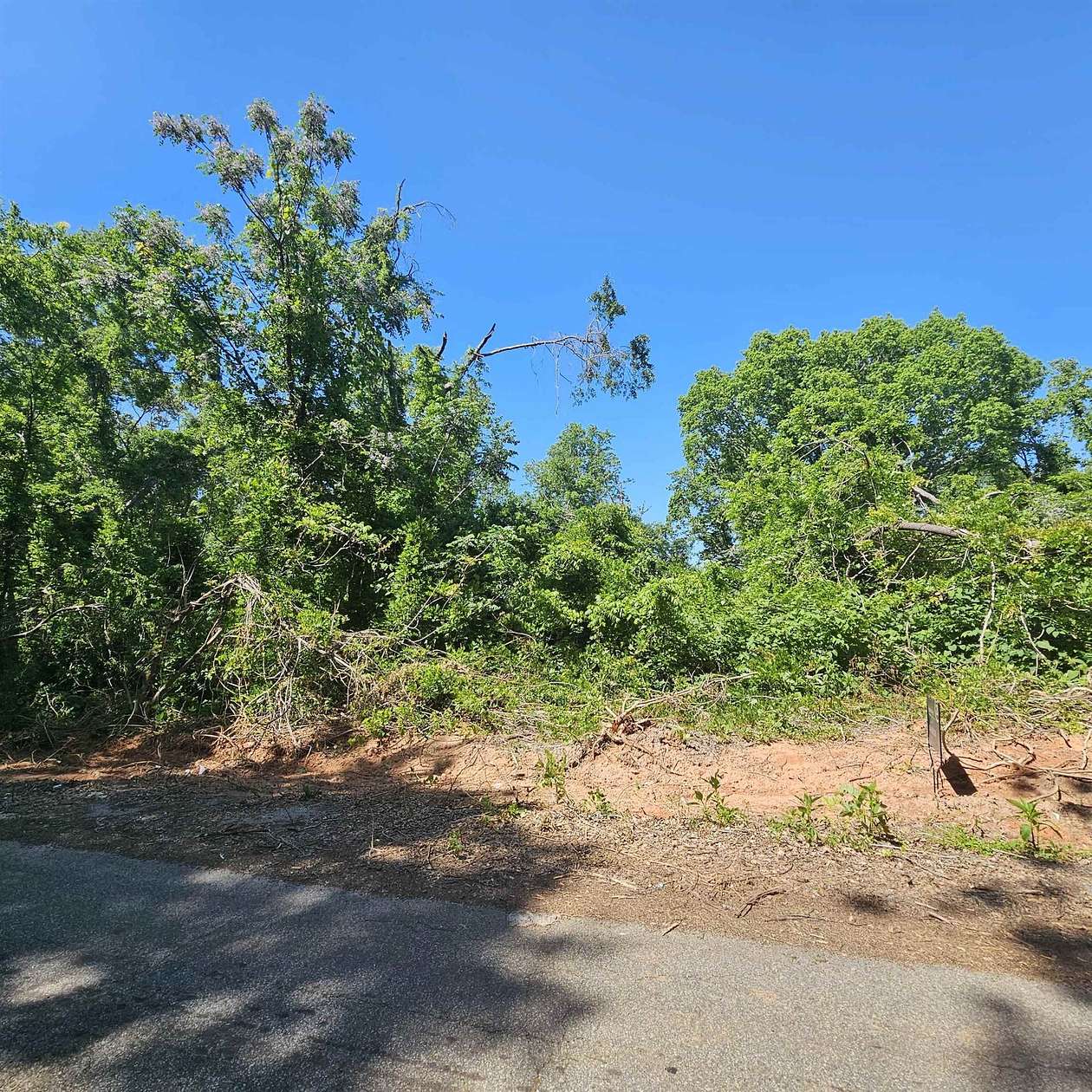 11.8 Acres of Agricultural Land for Sale in Enoree, South Carolina