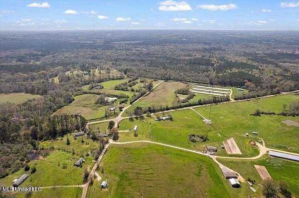 16.3 Acres of Land for Sale in Mendenhall, Mississippi