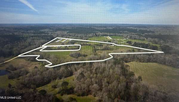 16.3 Acres of Land for Sale in Mendenhall, Mississippi