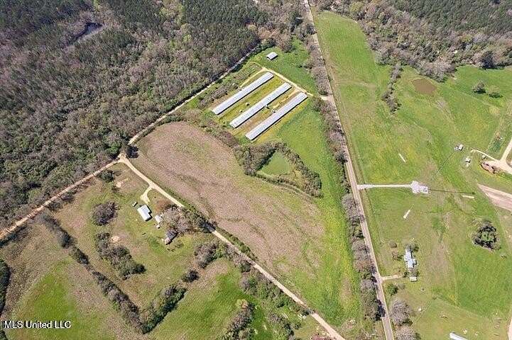 26.7 Acres of Land for Sale in Mendenhall, Mississippi