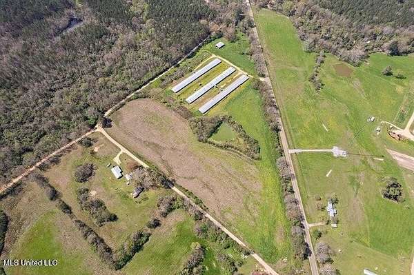 26.7 Acres of Land for Sale in Mendenhall, Mississippi