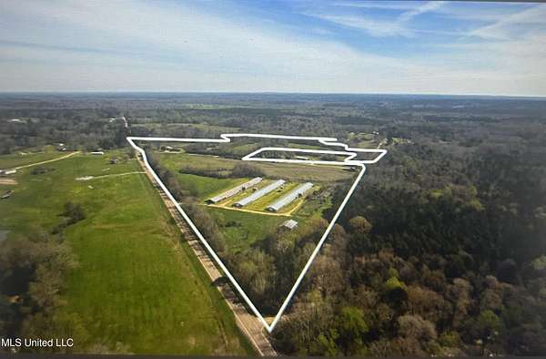 26.7 Acres of Land for Sale in Mendenhall, Mississippi