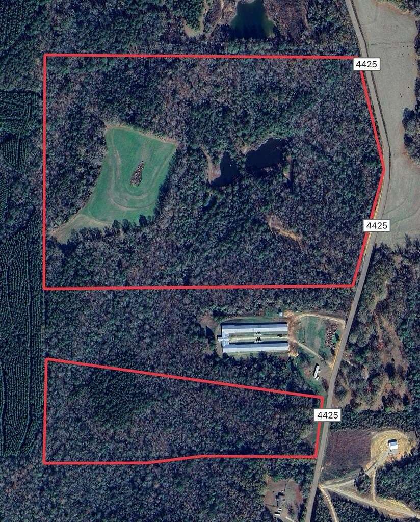 20 Acres of Land for Sale in Brundidge, Alabama