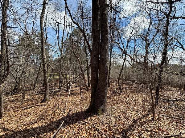 2.7 Acres of Residential Land for Sale in Wyoming, Minnesota