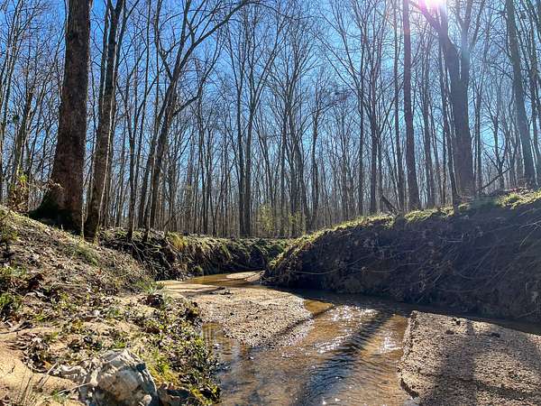 42.3 Acres of Recreational Land for Sale in Lawrence, Mississippi