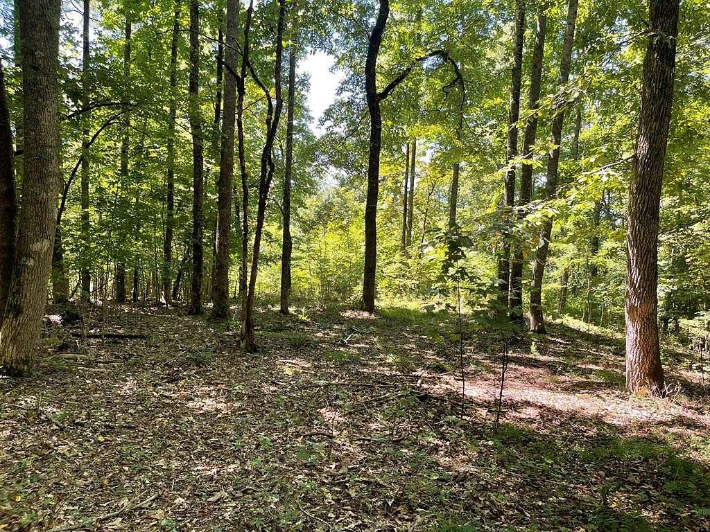 0.88 Acres of Residential Land for Sale in Hayesville, North Carolina