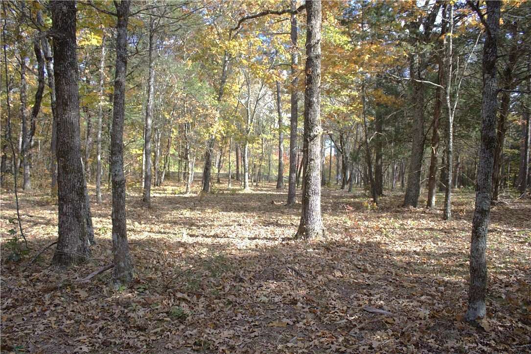 2.17 Acres of Land for Sale in Ozone, Arkansas