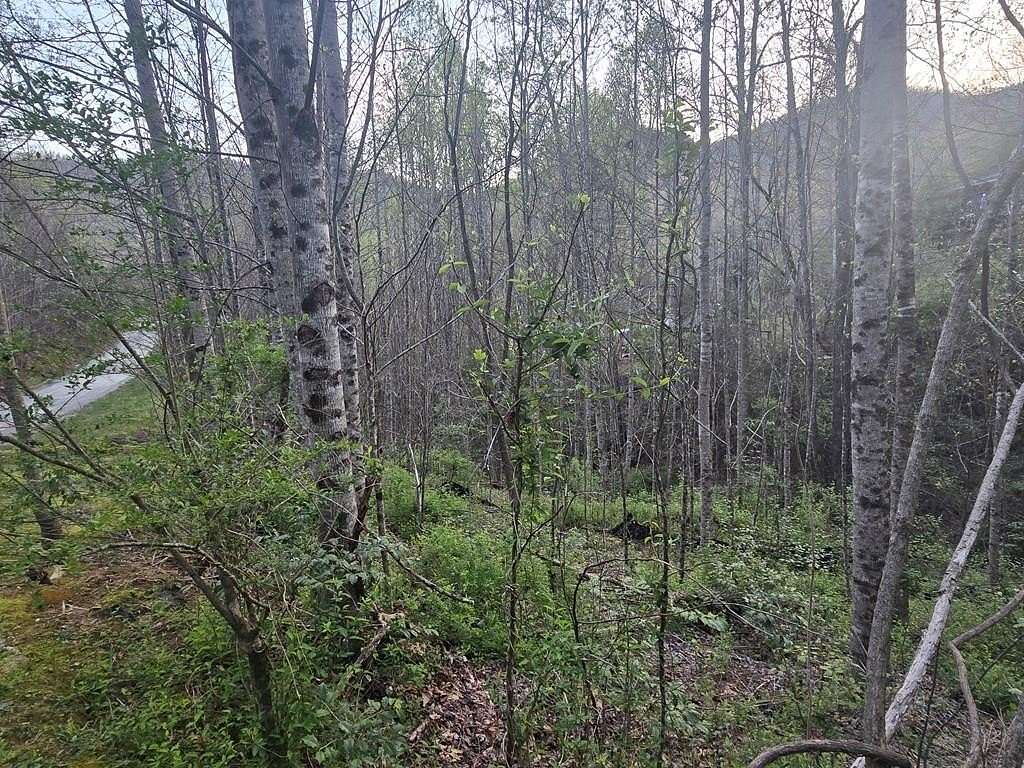 1.25 Acres of Residential Land for Sale in Sylva, North Carolina