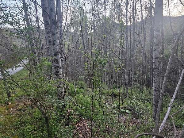 1.25 Acres of Residential Land for Sale in Sylva, North Carolina