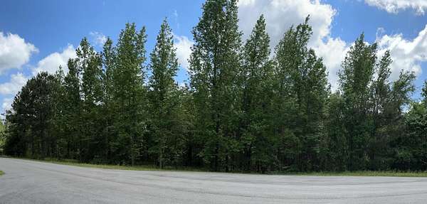 2.5 Acres of Residential Land for Sale in Appling, Georgia