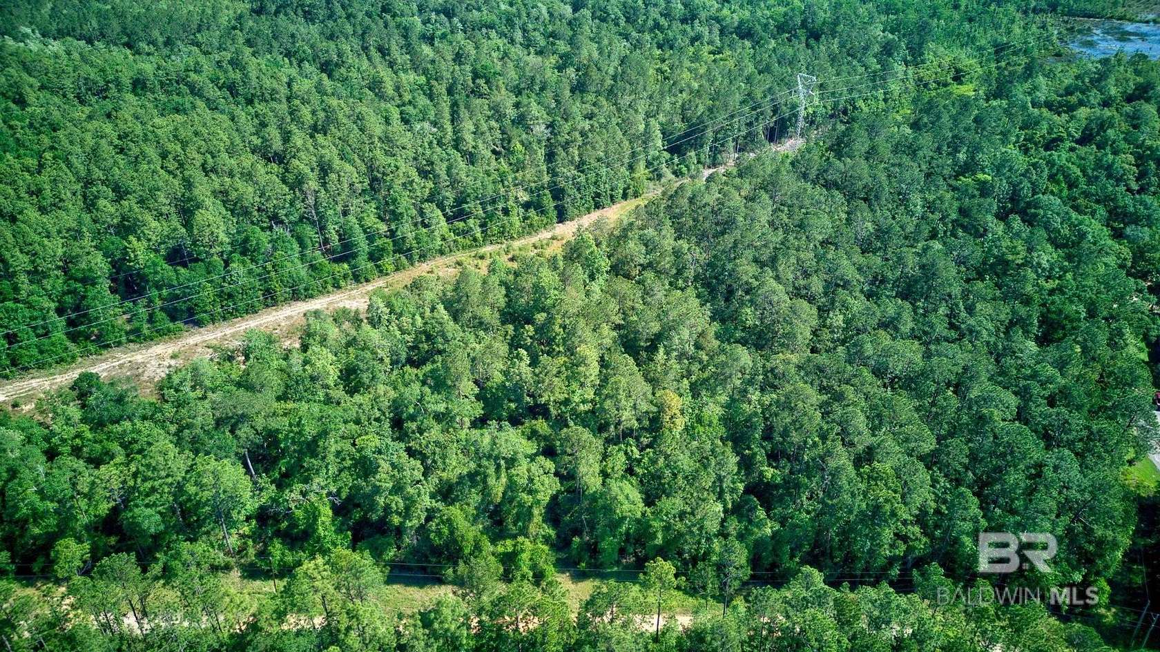 113 Acres of Recreational Land for Sale in Chunchula, Alabama