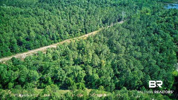 113 Acres of Recreational Land for Sale in Chunchula, Alabama