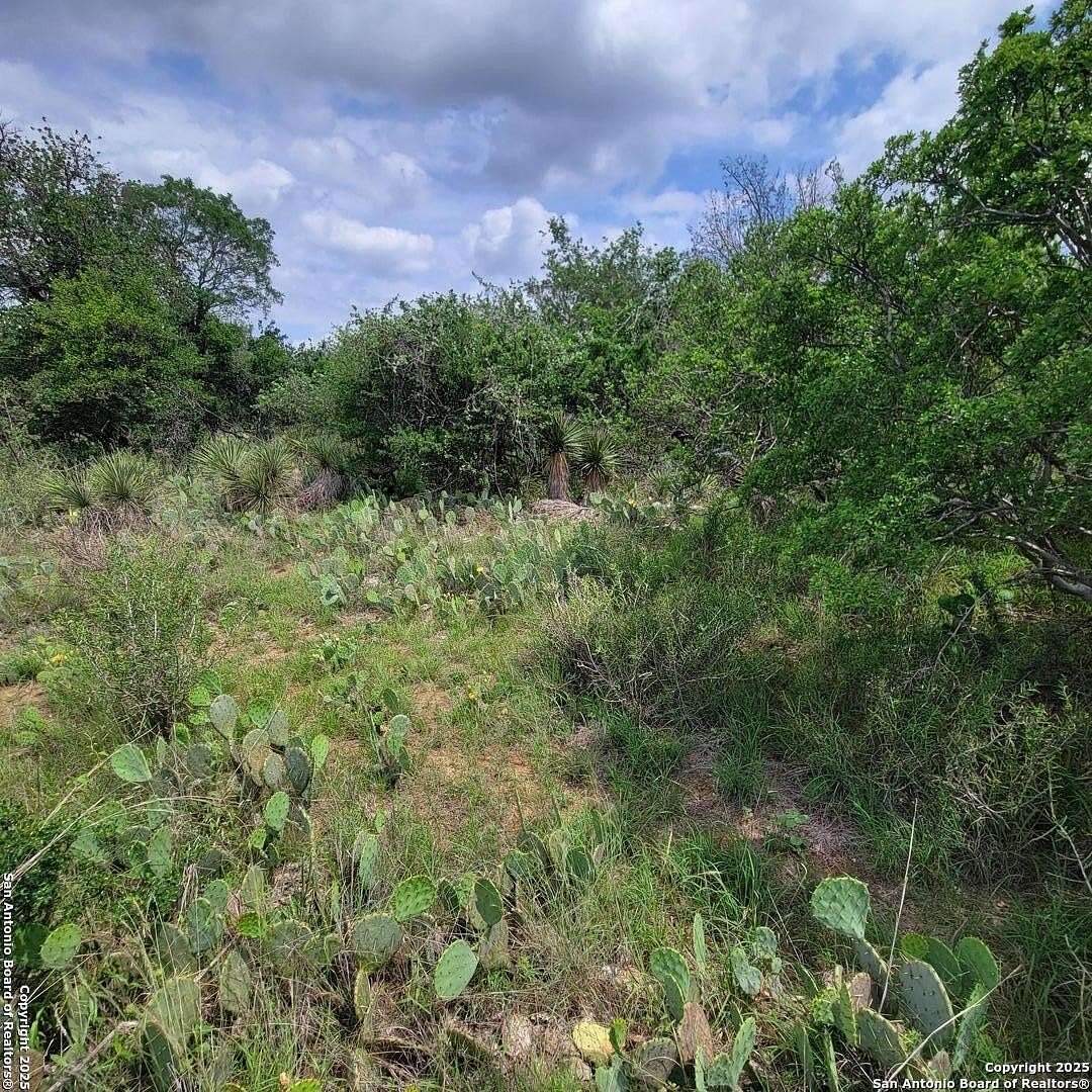 0.11 Acres of Residential Land for Sale in Granite Shoals, Texas