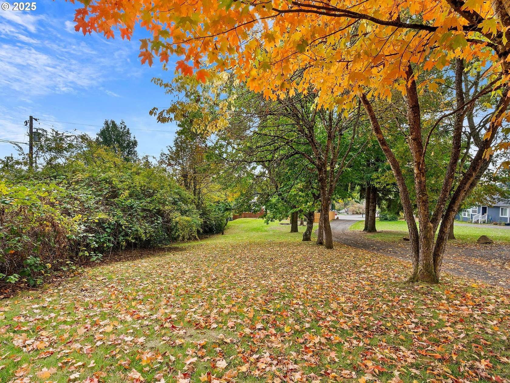 0.2 Acres of Commercial Land for Sale in Camas, Washington