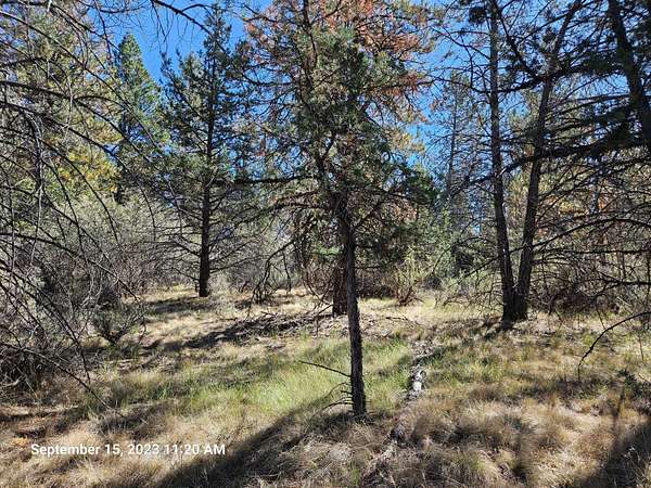 2 Acres of Residential Land for Sale in Bonanza, Oregon