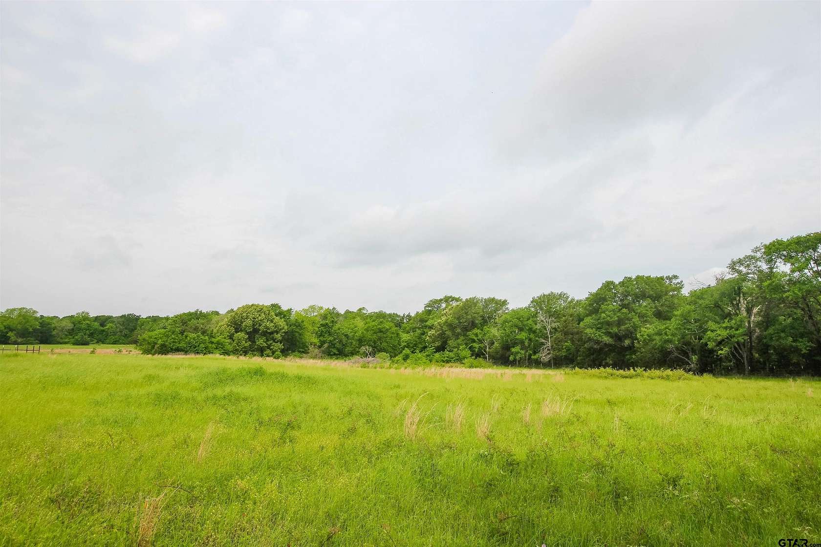10 Acres of Residential Land for Sale in Wills Point, Texas