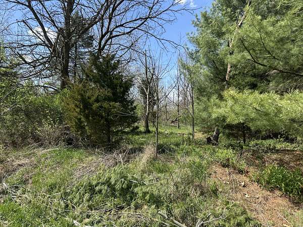 0.48 Acres of Residential Land for Sale in Sturgis, Michigan