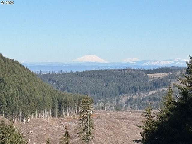 28.3 Acres of Land for Sale in Silverton, Oregon