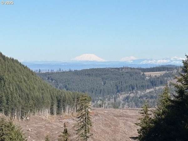 28.3 Acres of Land for Sale in Silverton, Oregon