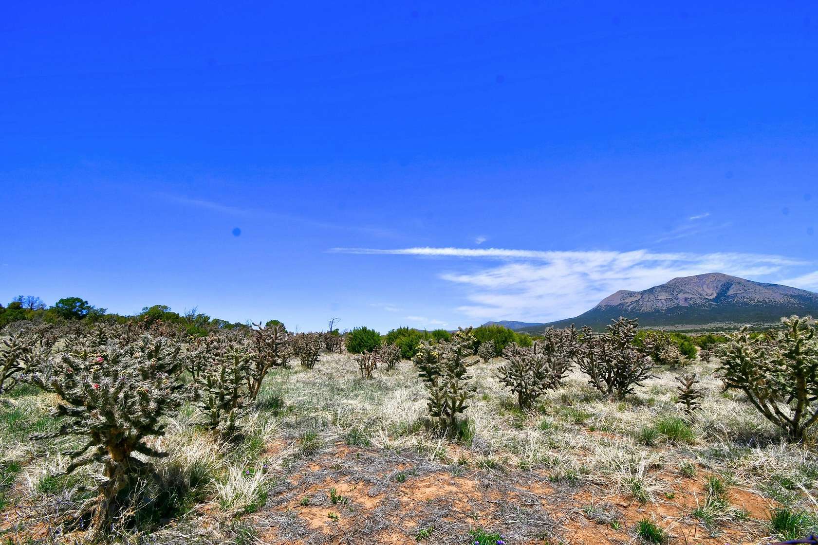 10 Acres of Residential Land for Sale in Edgewood, New Mexico