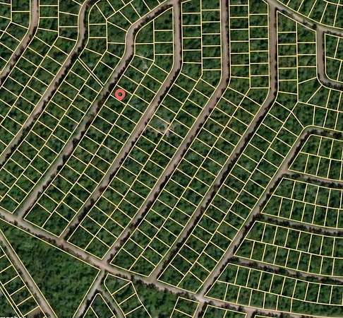 0.24 Acres of Land for Sale in Normangee, Texas