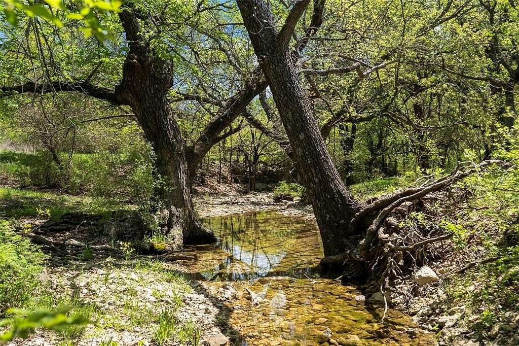 205 Acres of Agricultural Land for Sale in Gainesville, Texas