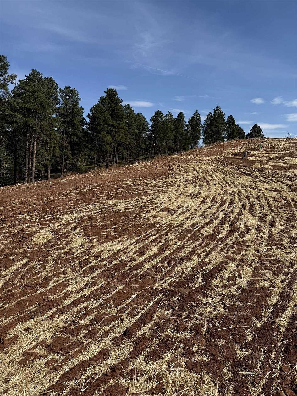 0.47 Acres of Residential Land for Sale in Rapid City, South Dakota