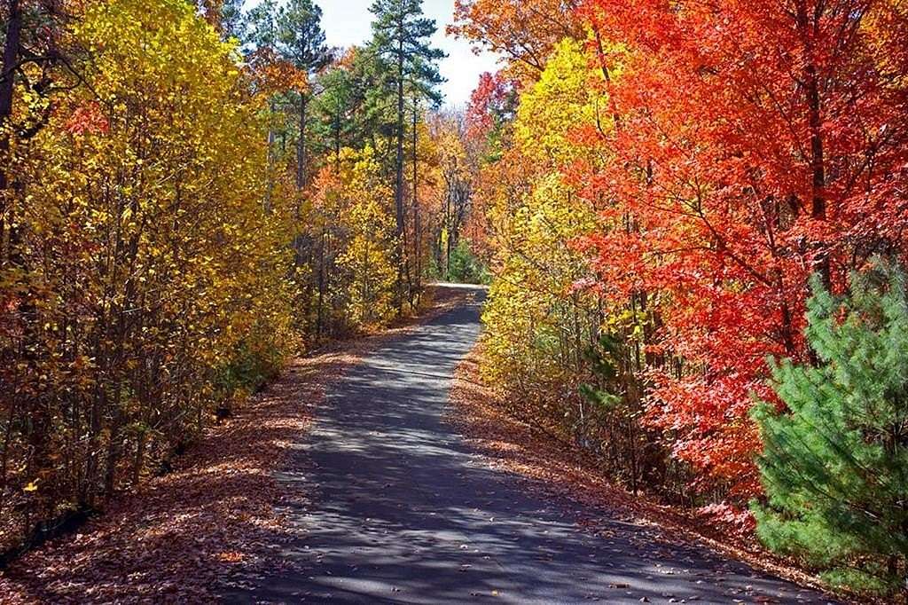 3.28 Acres of Land for Sale in Ellijay, Georgia