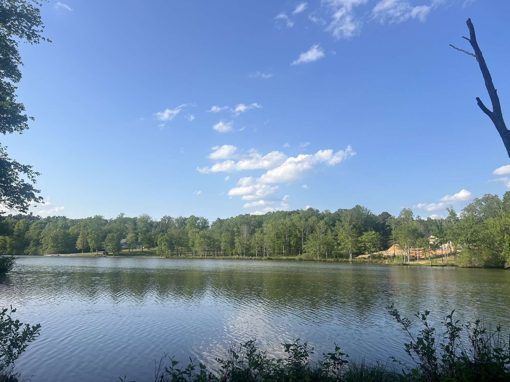 2.8 Acres of Residential Land for Sale in Cedar Grove, Tennessee